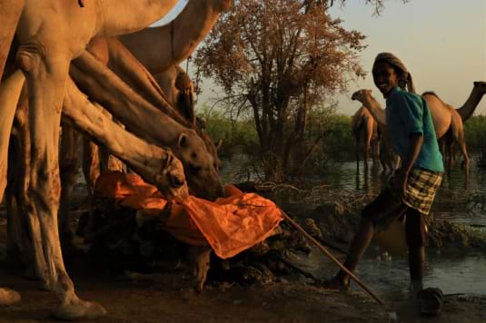 Climate Action Projects to date